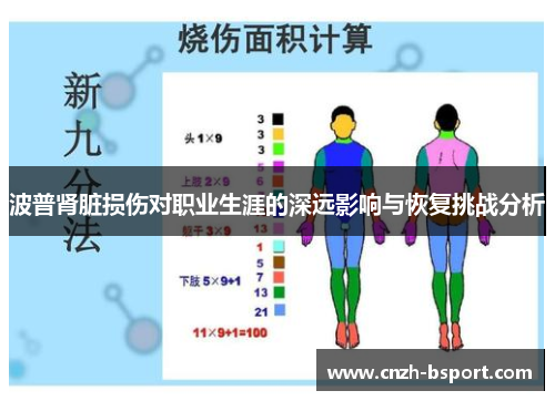 波普肾脏损伤对职业生涯的深远影响与恢复挑战分析