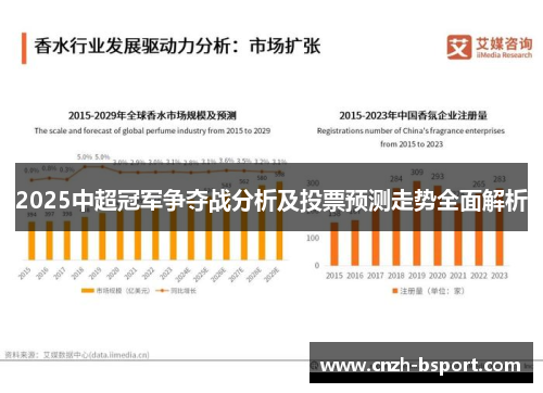 2025中超冠军争夺战分析及投票预测走势全面解析