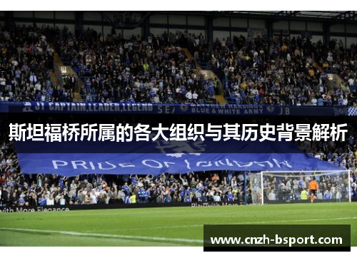 斯坦福桥所属的各大组织与其历史背景解析