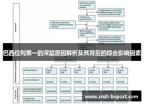 巴西位列第一的深层原因解析及其背后的综合影响因素