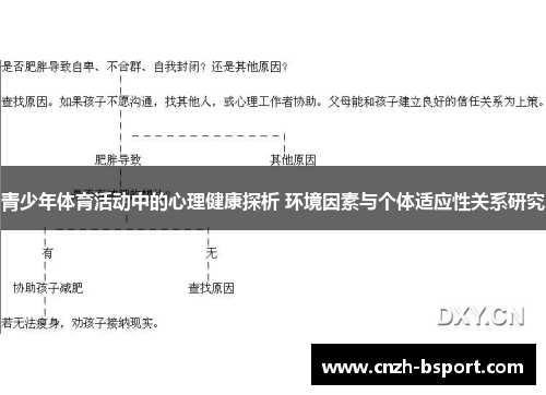 青少年体育活动中的心理健康探析 环境因素与个体适应性关系研究