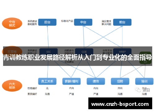 青训教练职业发展路径解析从入门到专业化的全面指导